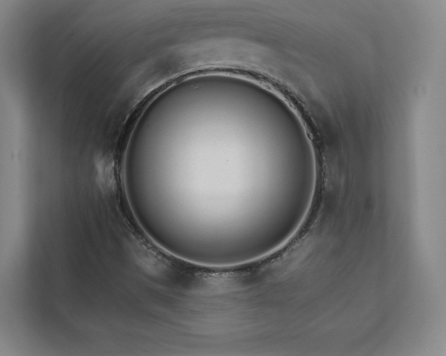 X0000111931497200908031107
