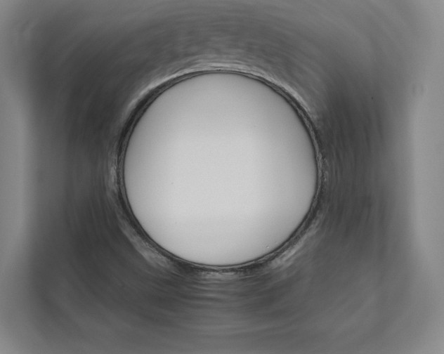 X0000111931499200908031107