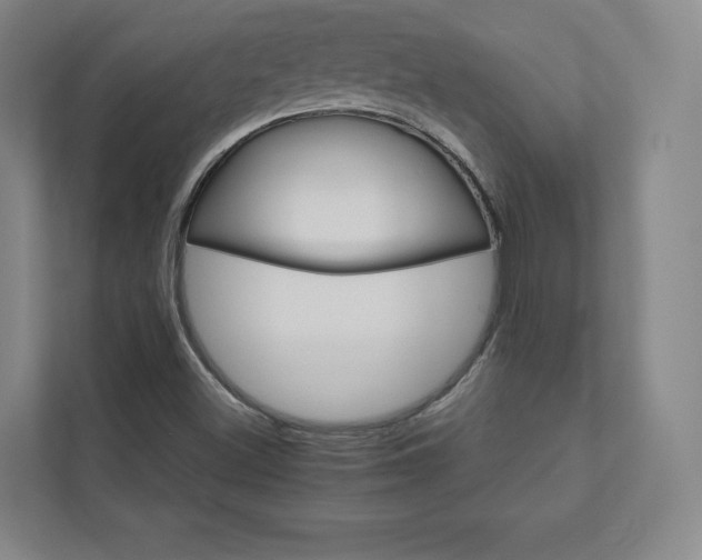 X0000111931500200908031107