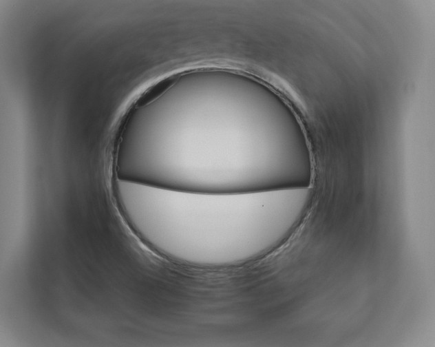 X0000111931504200908031107