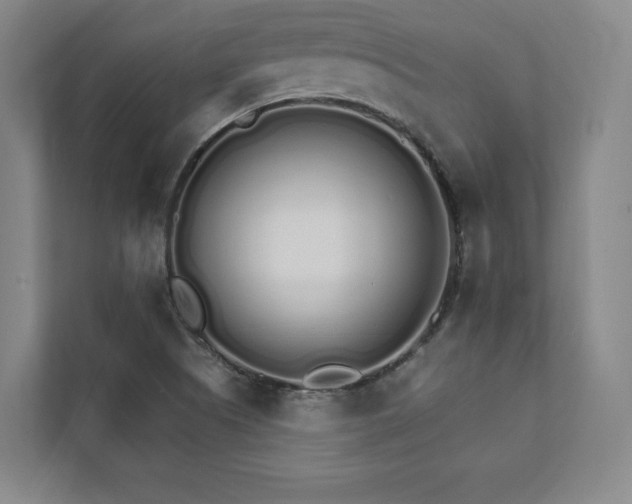 X0000111931505200908031107