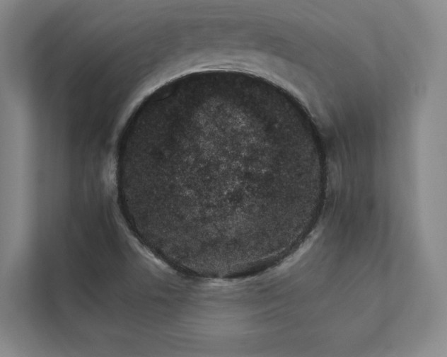 X0000111931506200908031107
