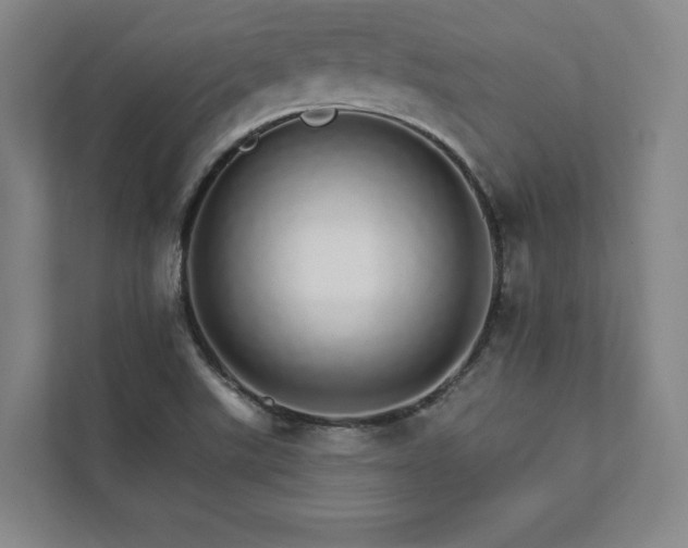 X0000111931507200908031107