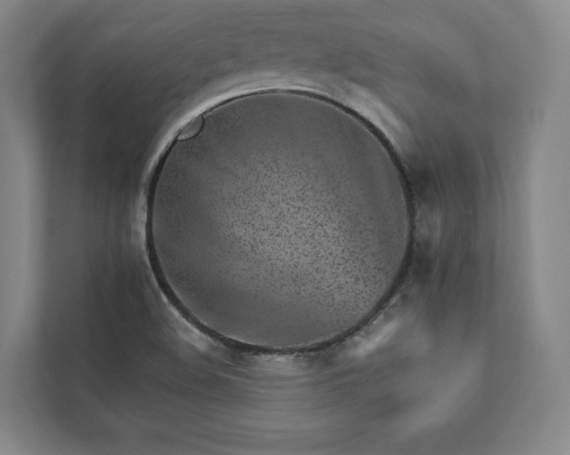 X0000111931508200908031107