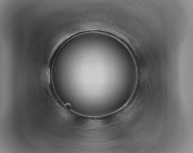 X0000111931509200908031107