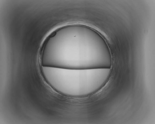 X0000111931510200908031108