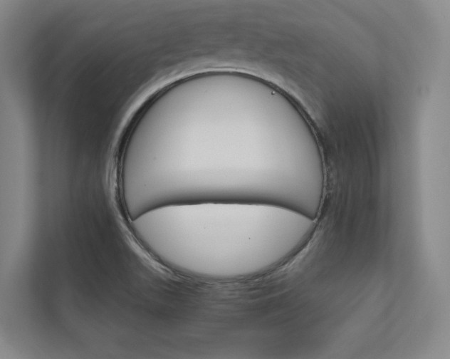 X0000111931511200908031108