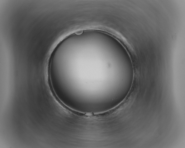 X0000111931512200908031108