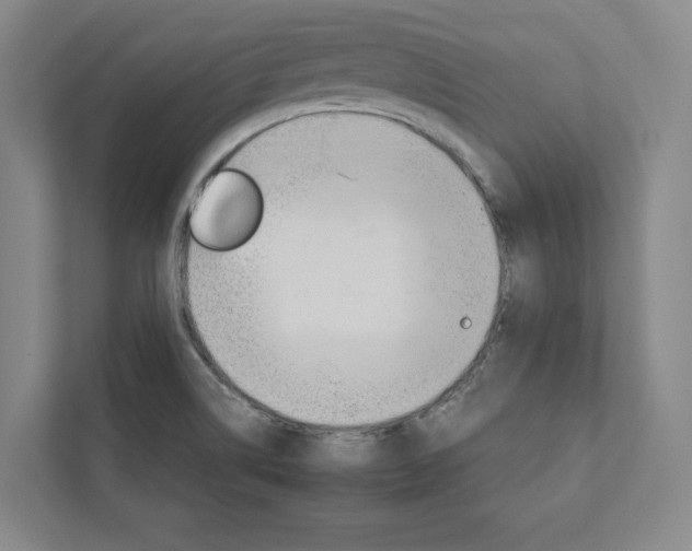 X0000111931514200908031108