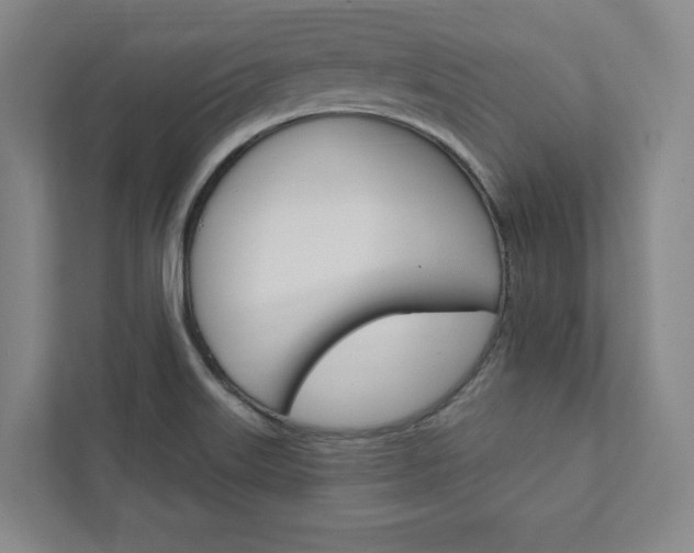X0000111931515200908031108