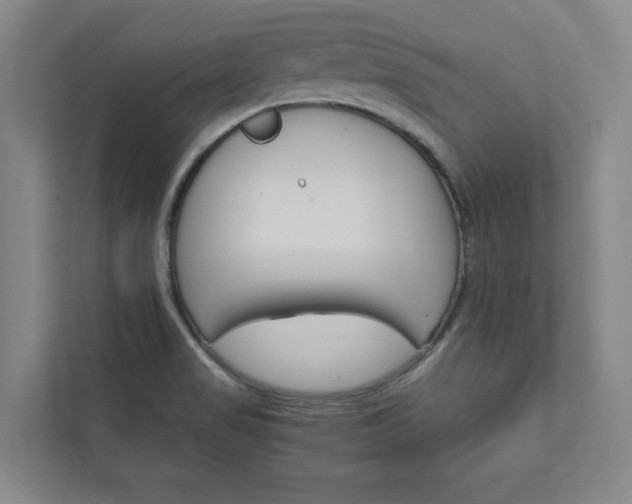 X0000111931517200908031108