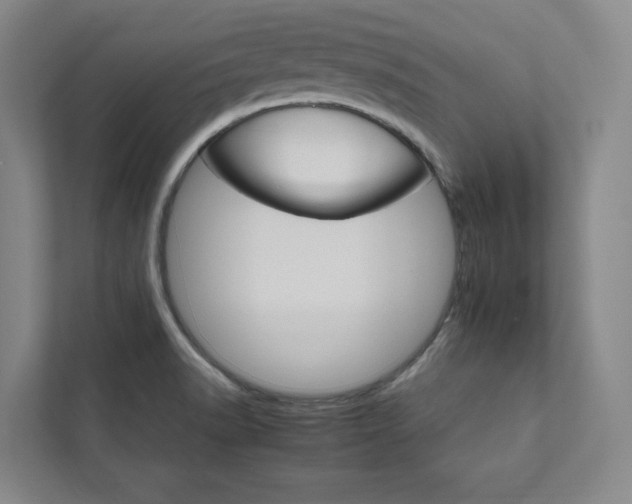 X0000111931518200908031108