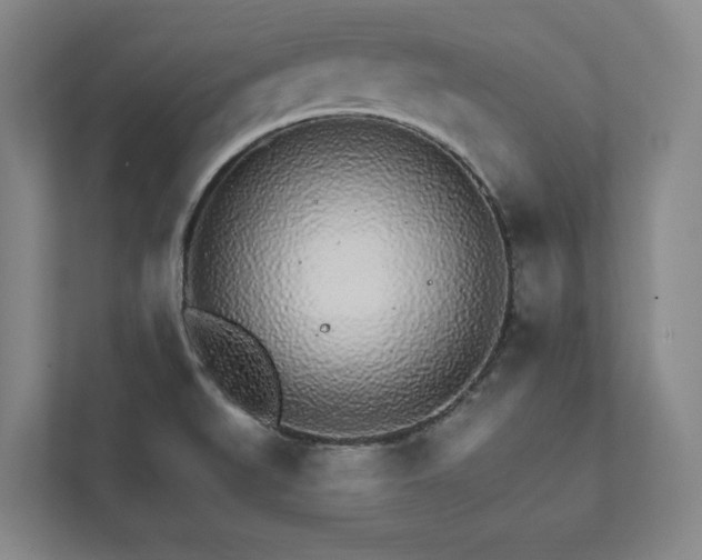 X0000111931519200908031108
