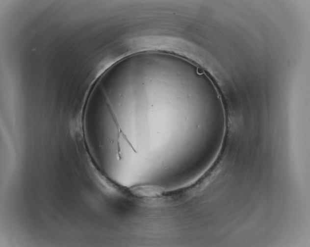 X0000111931521200908031108