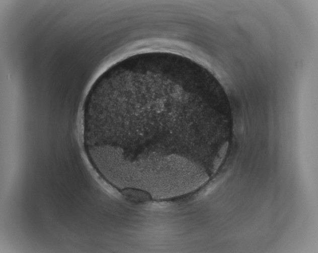 X0000111931522200908031108