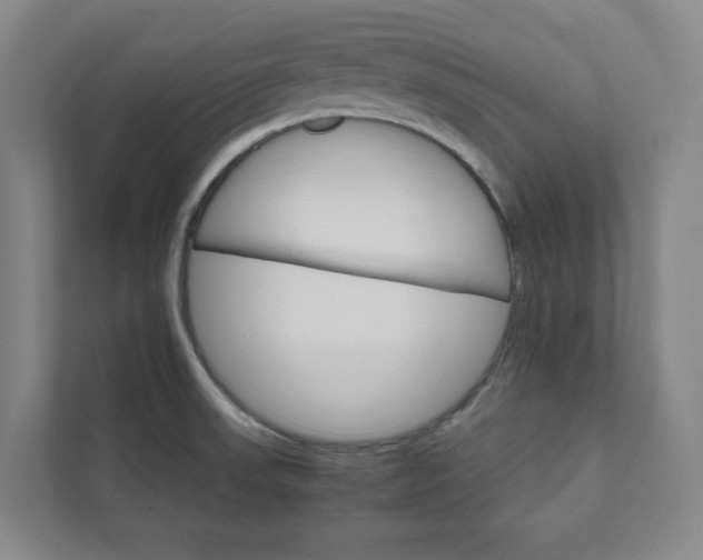 X0000111931523200908031108