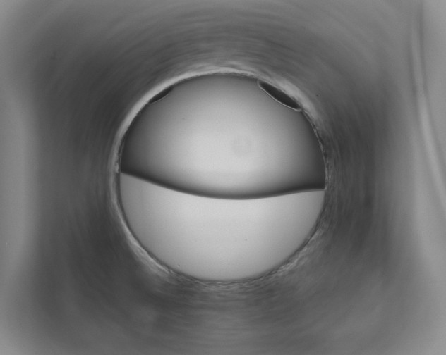 X0000111931524200908031108