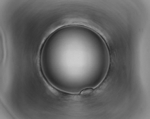 X0000111931525200908031108