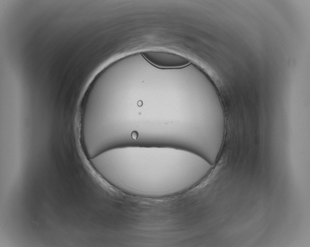 X0000111931526200908031108