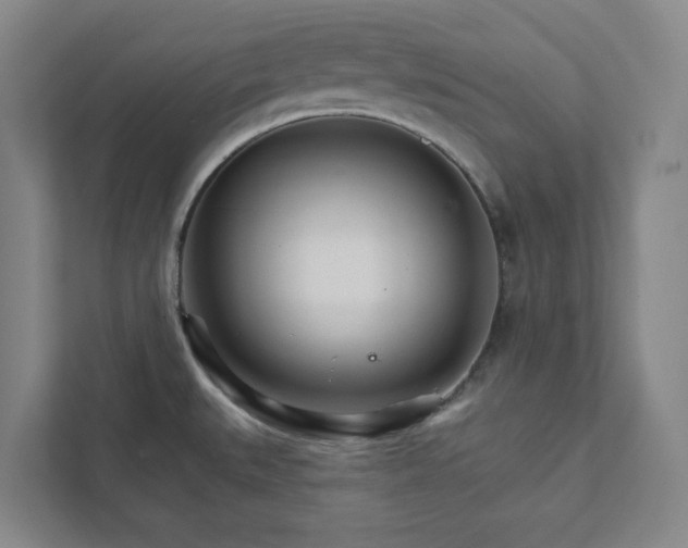 X0000111931527200908031108