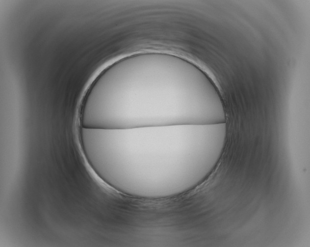 X0000111931531200908031108