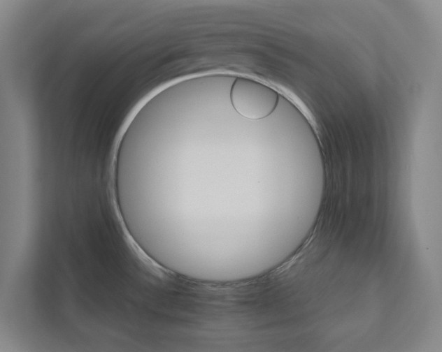 X0000111931532200908031108