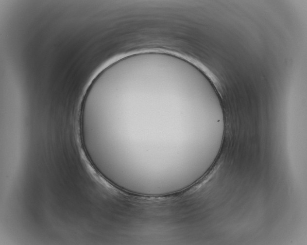 X0000111931534200908031108