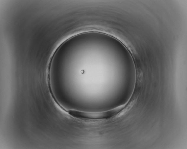 X0000111931535200908031108