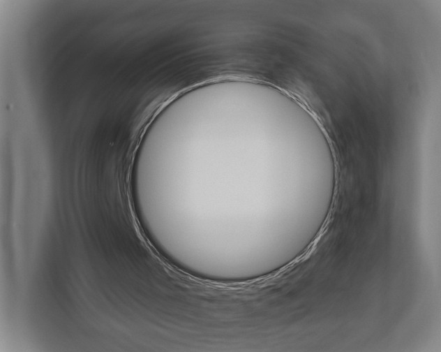 X0000111930001200908101151