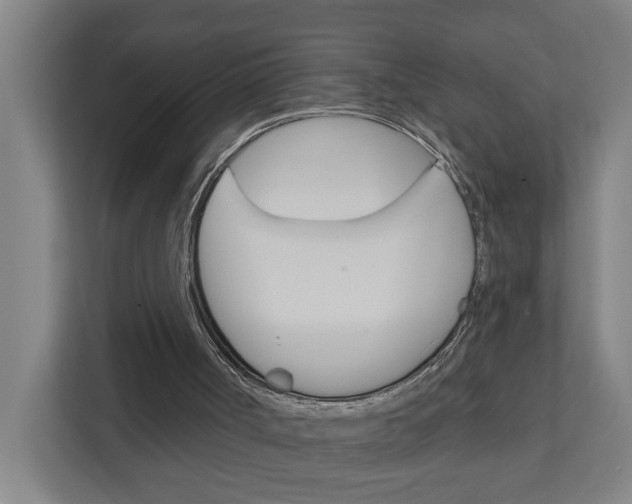 X0000111930002200908101151