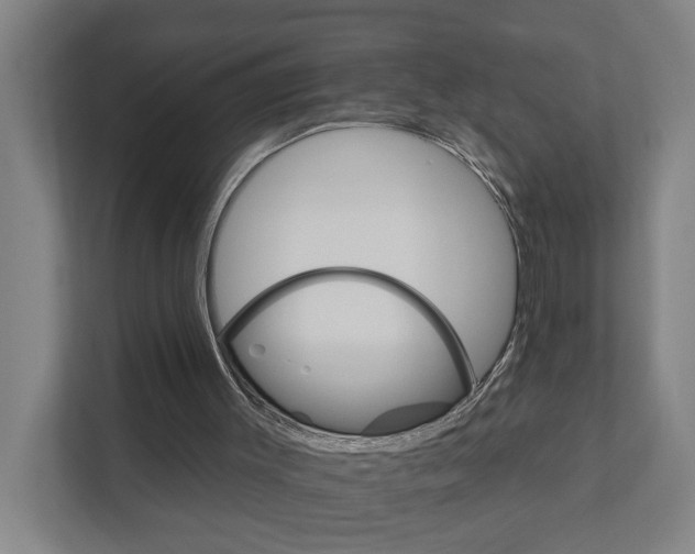 X0000111930003200908101151