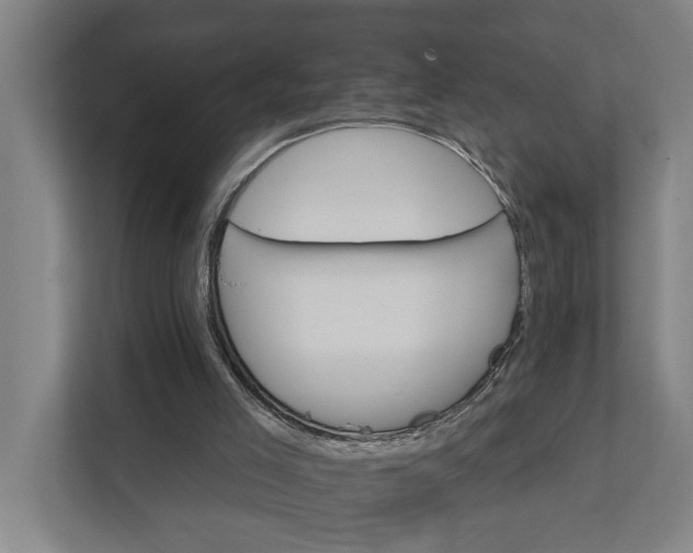 X0000111930005200908101151