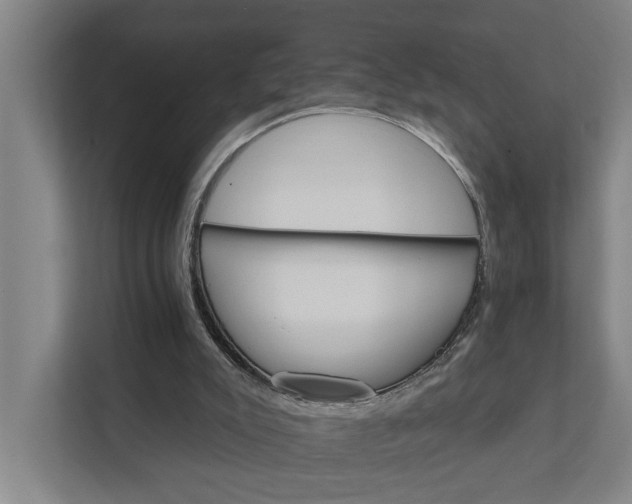 X0000111930007200908101151