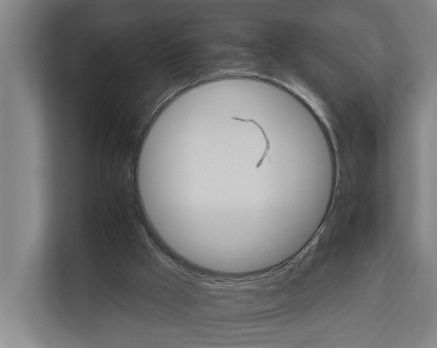 X0000111930009200908101151