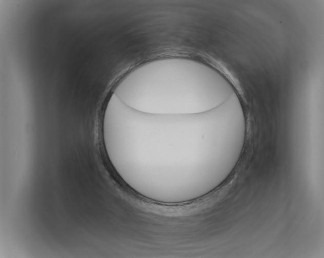 X0000111930010200908101151