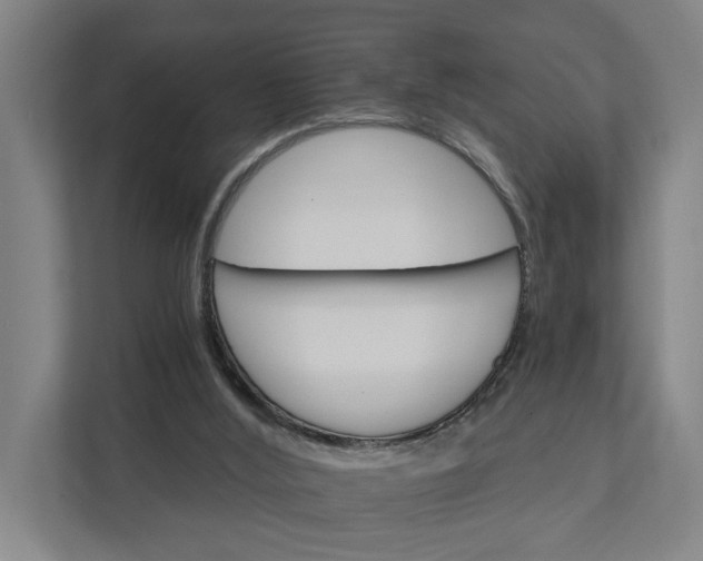 X0000111930012200908101151