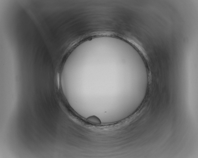 X0000111930013200908101151