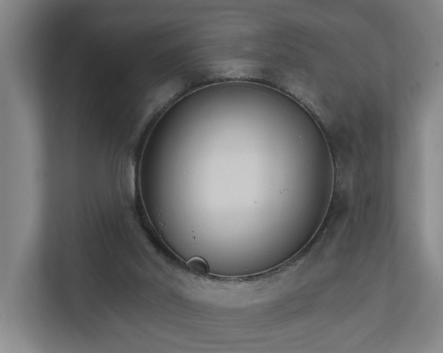 X0000111930014200908101151