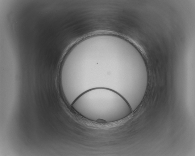 X0000111930015200908101151