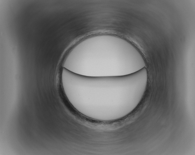 X0000111930016200908101151