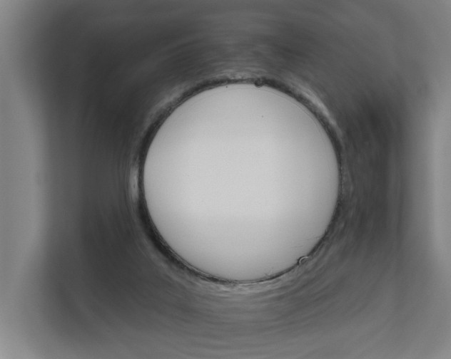 X0000111930019200908101151