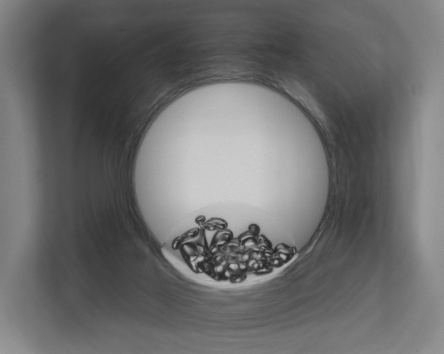 X0000111930021200908101151