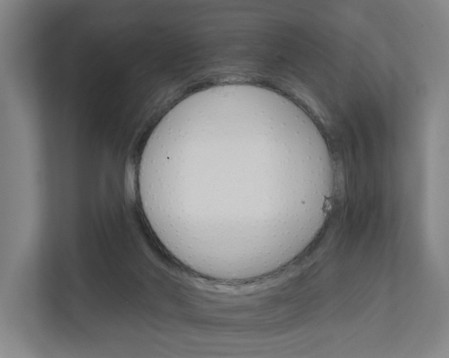 X0000111930022200908101151