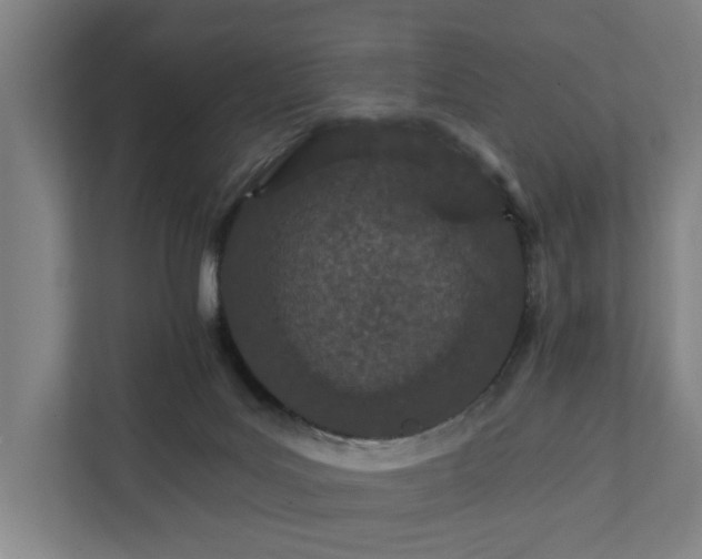 X0000111930027200908101151