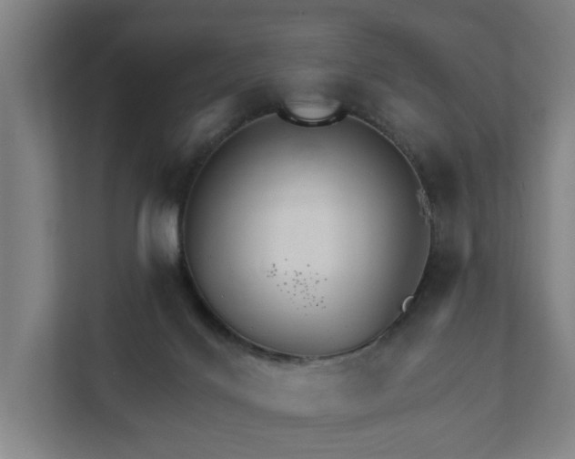 X0000111930028200908101151