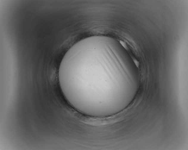 X0000111930029200908101151