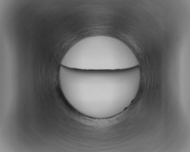 X0000111930031200908101151