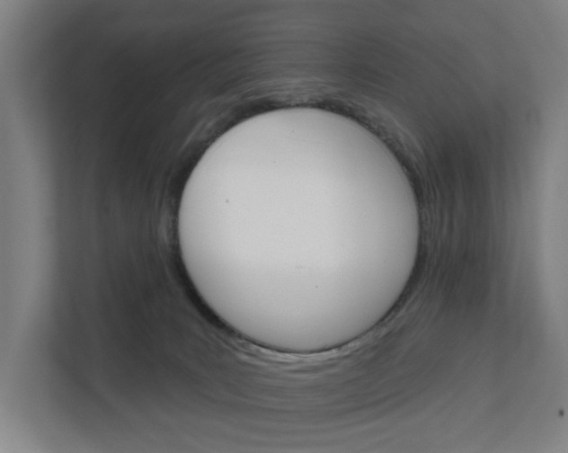 X0000111930035200908101150