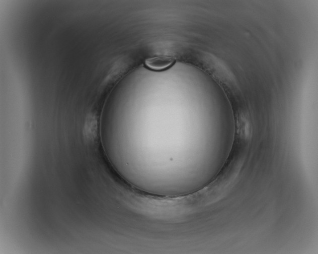 X0000111930036200908101150