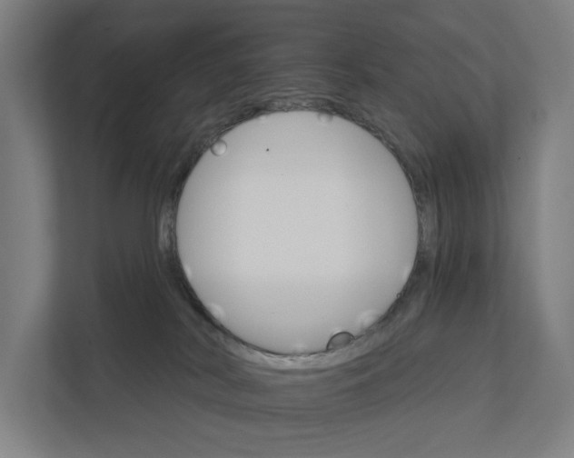 X0000111930038200908101150